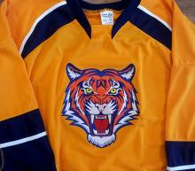 Orange cat jersey